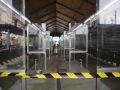 Los puestos de la Pescadería se preparan para pasar a la plaza de perecederos Mercado Magdalena y Pescadería
