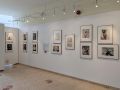 La muestra exhibe las series fotográficas de seis autores