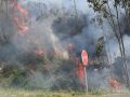 Incendio forestal en A Capela