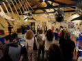 La caza de ballenas en el norte peninsular centrará una nueva presentación literaria en el Museo de Historia Natural de Ferrol
