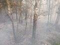 Un incendio en Monfero afecta parcialmente a las Fragas y calcina 1,6 hectáreas