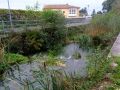 Neda maleza río Basteiro y ponte de Pename