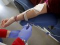 unidad de ADOS  donación donantes sangre
