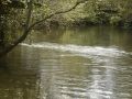 Río Xubia a su paso por San Sadurniño.