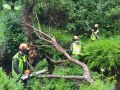 Operarios de Augas de Galicia en sus trabajos en Cedeira