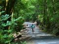 Natureza cunha ampla oferta: rutas sendeiristas en Ferrol, Eume e Ortegal Fragas do Eume