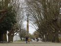 La Alameda de Suanzes es el tramo que llegó mejor conservado a nuestros días