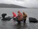 Las mariscadoras locales adquirieron 210 kilos de semilla de almeja japonesa 