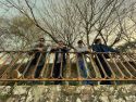 Todo el Largo Verano, uno de los dos proyectos ferrolanos además de Omadroma