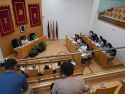 Pleno concello de Narón