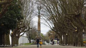 La Alameda de Suanzes es el tramo que llegó mejor conservado a nuestros días