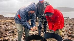 Mariscadoras en sus trabajos en la playa de Figueiras