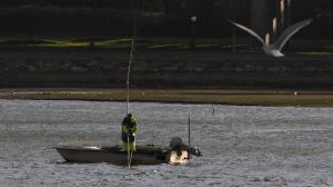 Labores de marisqueo en Pontedeume