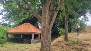 valdoviño peones forestales cedida