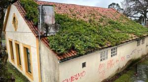 Maleza sobre la cubierta de la escuela indiana