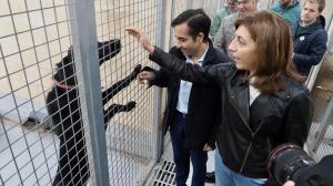 El ideal gallego