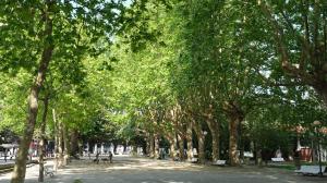 El ideal gallego