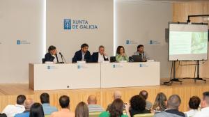 El ideal gallego
