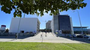 El ideal gallego
