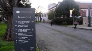 El ideal gallego