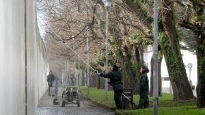 El ideal gallego