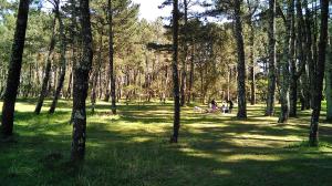 El ideal gallego