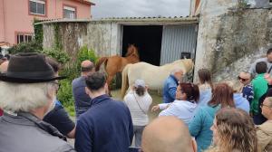 El ideal gallego