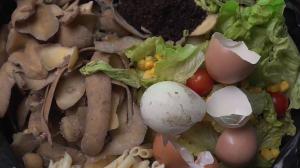 Residuos para hacer compost