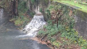 Vertido en el puente sobre la carretera general | cedida