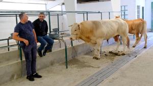 Dos ganaderos en la Feira do Gando Vacún de Moeche