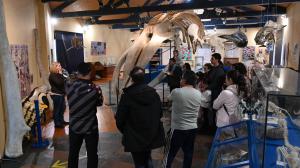 SGHN visita guiada