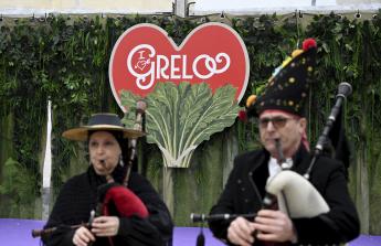 Feira do Grelo As Pontes