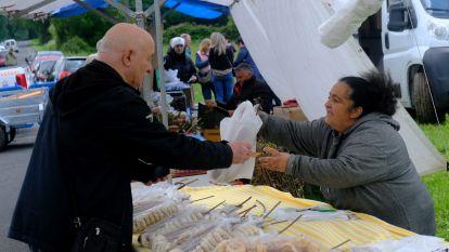 Romería de la O en Pedroso 035
