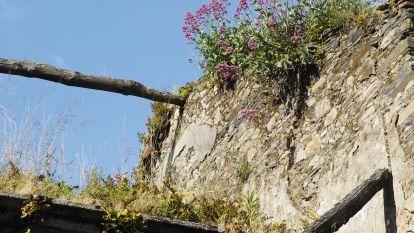 Calle Carlos III de Ferrol (Jorge Meis) (39)