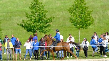 As Pontes Ecuestre003