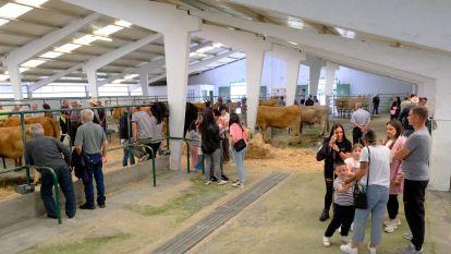 Feira do Gando005