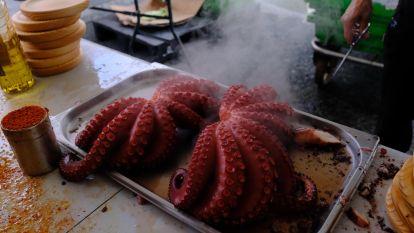 Festa do Percebe de Cedeira 2025 (11)