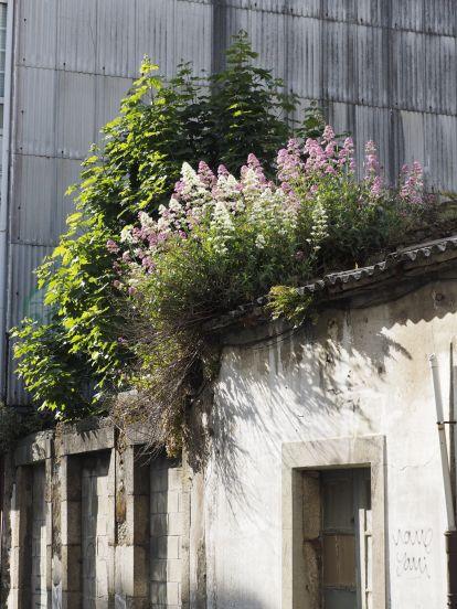 Calle Carlos III de Ferrol (Jorge Meis) (46)