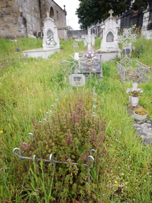 Cementerio de Santa Icía
