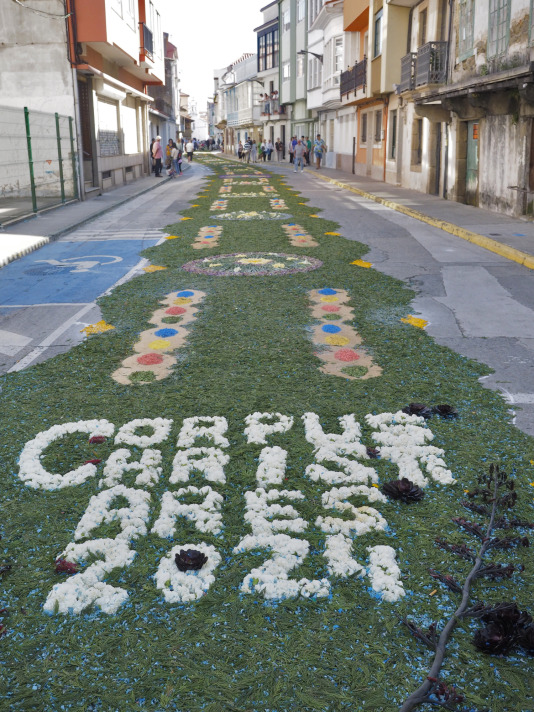 Alfombras florales de Ares (51)