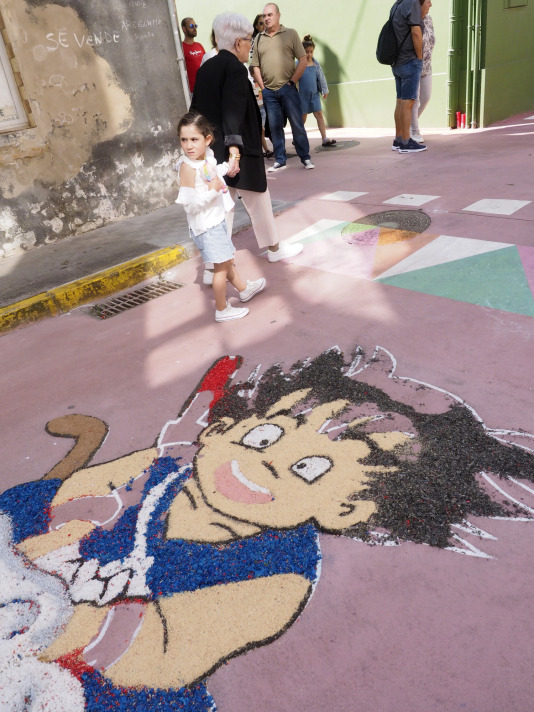 Alfombras florales de Ares (38)
