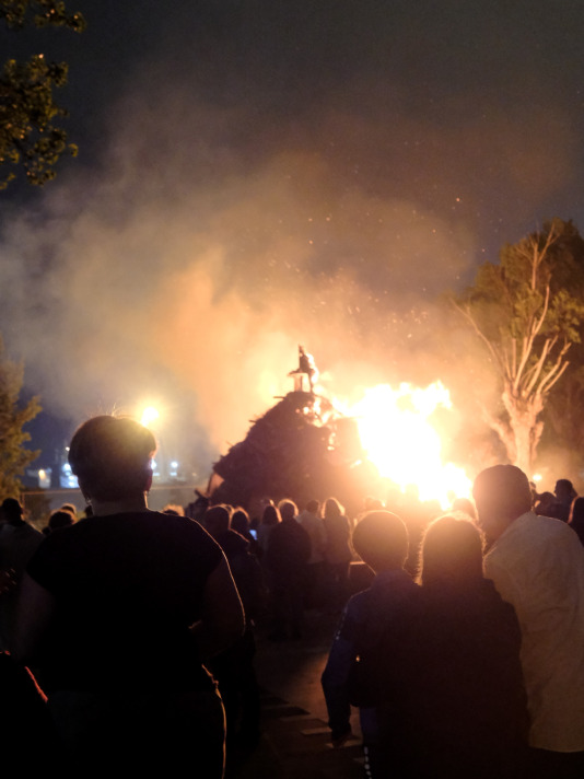 Lume novo en Esteiro006