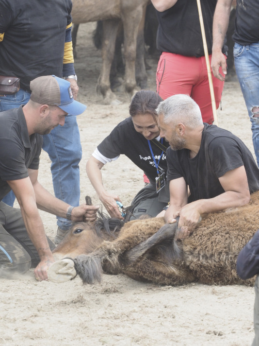 Rapa das bestas A Capelada Cedeira (Jorge Meis) (47)