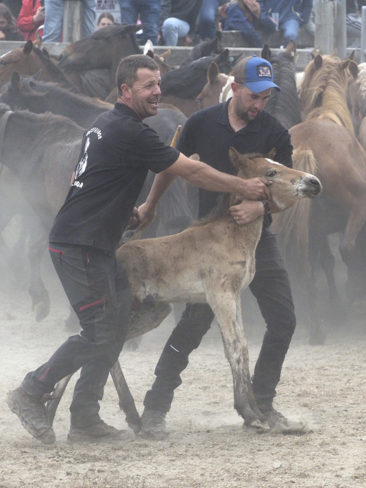 Rapa das bestas A Capelada Cedeira (Jorge Meis) (21)