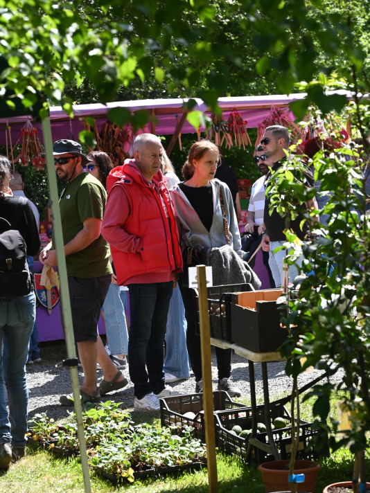 Feira plantación 2026