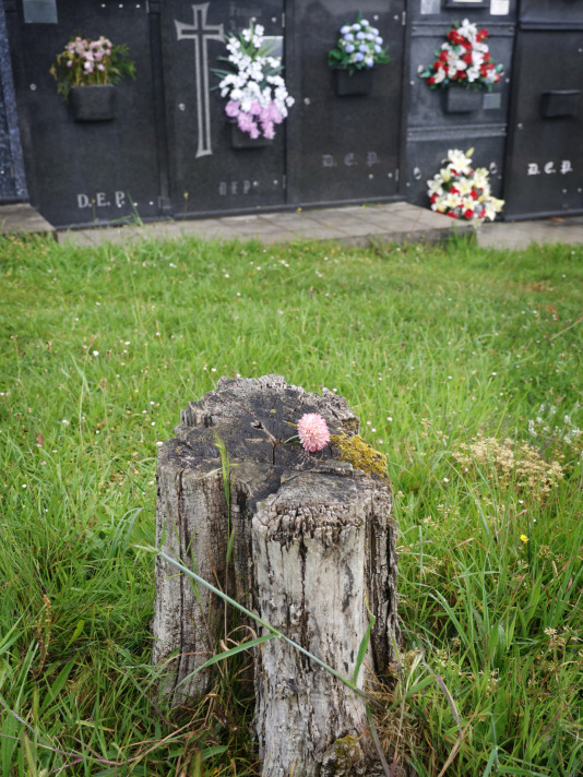 Cementerio de Santa Icía