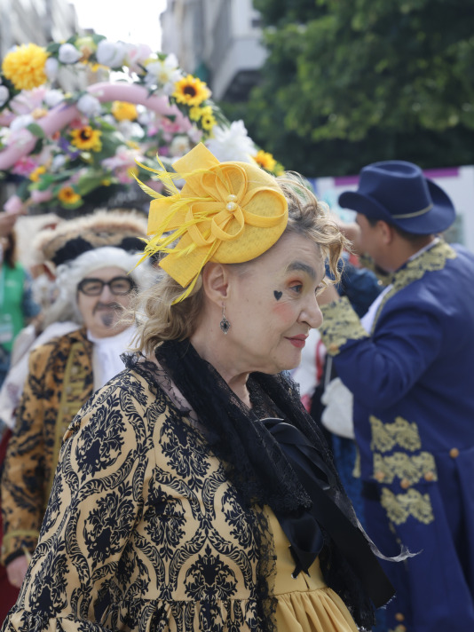 Ferrol Ilustrado