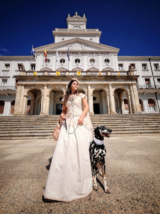 Ferrol Ilustrado