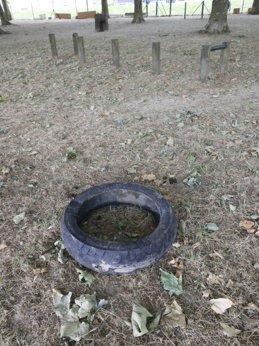 Parque Canino del Diapasón