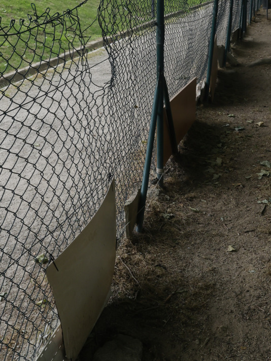 Parque Canino del Diapasón